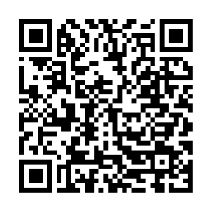 Link to your fundraiser QRCode - Fundraising