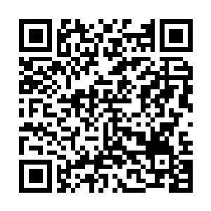 Link to your fundraiser QRCode - Fundraising