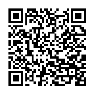 Link to your fundraiser QRCode - Fundraising