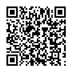 Link to your fundraiser QRCode - Fundraising