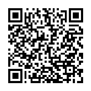 Link to your fundraiser QRCode - Fundraising