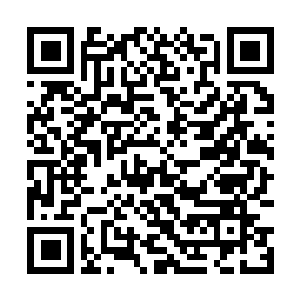 Link to your fundraiser QRCode - Fundraising