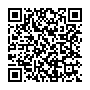 Link to your fundraiser QRCode - Fundraising