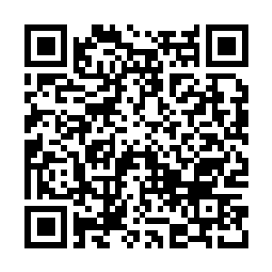 Link to your fundraiser QRCode - Fundraising
