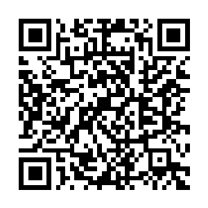 Link to your fundraiser QRCode - Fundraising