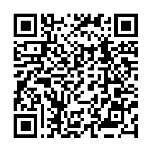 Link to your fundraiser QRCode - Fundraising