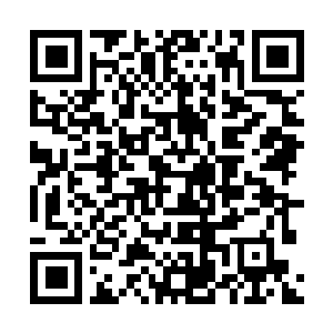 Link to your fundraiser QRCode - Fundraising