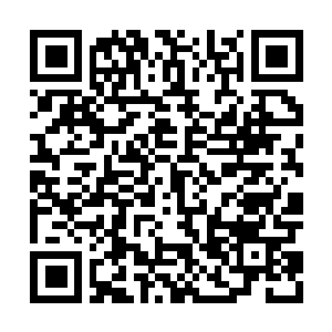 Link to your fundraiser QRCode - Fundraising