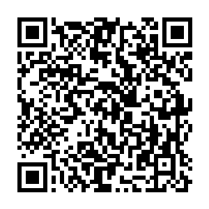 Link to your fundraiser QRCode - Fundraising