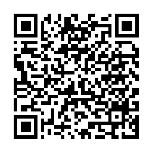 Link to your fundraiser QRCode - Fundraising
