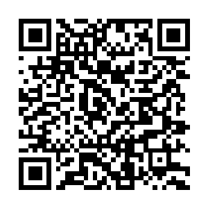 Link to your fundraiser QRCode - Fundraising