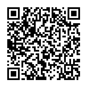 Link to your fundraiser QRCode - Fundraising