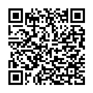 Link to your fundraiser QRCode - Fundraising