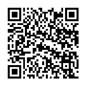 Link to your fundraiser QRCode - Fundraising
