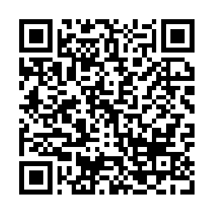 Link to your fundraiser QRCode - Fundraising