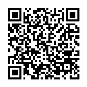 Link to your fundraiser QRCode - Fundraising