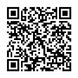 Link to your fundraiser QRCode - Fundraising