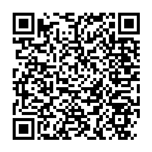 Link to your fundraiser QRCode - Fundraising