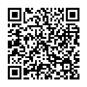 Link to your fundraiser QRCode - Fundraising