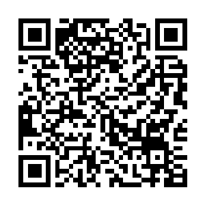 Link to your fundraiser QRCode - Fundraising
