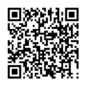 Link to your fundraiser QRCode - Fundraising