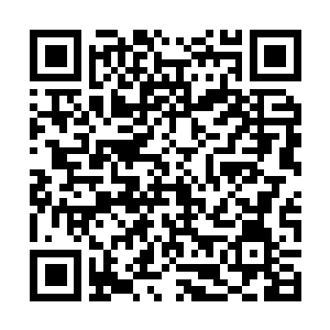 Link to your fundraiser QRCode - Fundraising