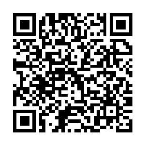 Link to your fundraiser QRCode - Fundraising