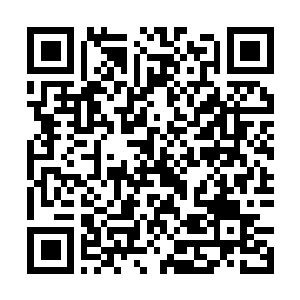 Link to your fundraiser QRCode - Fundraising