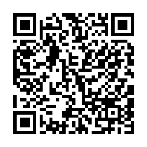 Link to your fundraiser QRCode - Fundraising