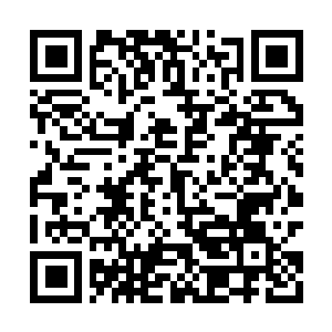 Link to your fundraiser QRCode - Fundraising