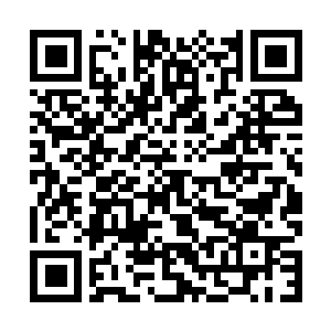 Link to your fundraiser QRCode - Fundraising