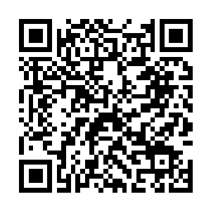 Link to your fundraiser QRCode - Fundraising