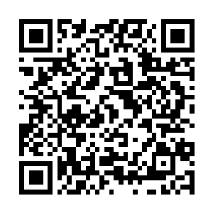 Link to your fundraiser QRCode - Fundraising