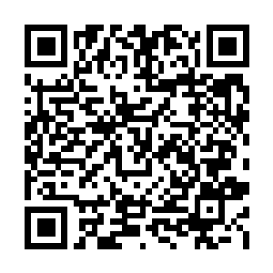 Link to your fundraiser QRCode - Fundraising