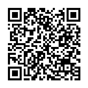 Link to your fundraiser QRCode - Fundraising