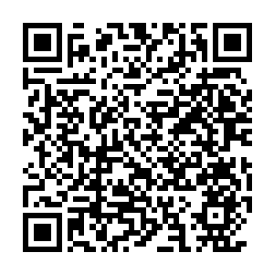 Link to your fundraiser QRCode - Fundraising