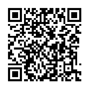 Link to your fundraiser QRCode - Fundraising
