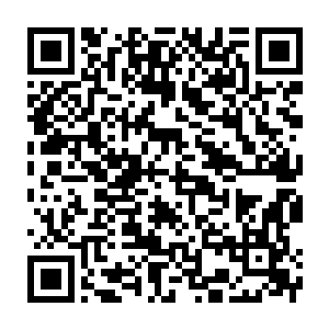 Link to your fundraiser QRCode - Fundraising