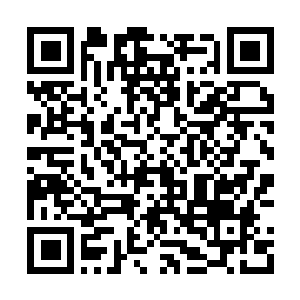 Link to your fundraiser QRCode - Fundraising