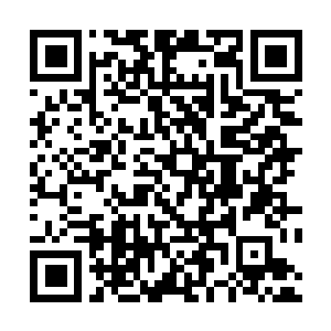 Link to your fundraiser QRCode - Fundraising
