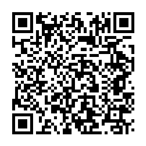 Link to your fundraiser QRCode - Fundraising