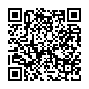 Link to your fundraiser QRCode - Fundraising