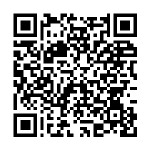 Link to your fundraiser QRCode - Fundraising