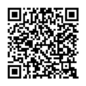 Link to your fundraiser QRCode - Fundraising