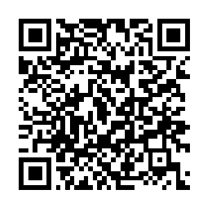 Link to your fundraiser QRCode - Fundraising