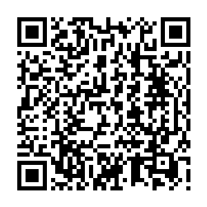 Link to your fundraiser QRCode - Fundraising