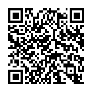 Link to your fundraiser QRCode - Fundraising