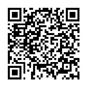 Link to your fundraiser QRCode - Fundraising