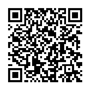 Link to your fundraiser QRCode - Fundraising