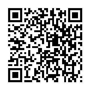 Link to your fundraiser QRCode - Fundraising